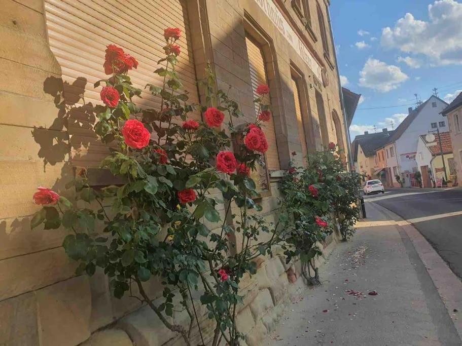 Ferienwohnung Wohlfuehloase Auf 133-160Qm In Der Idylle An Der Nahe Duchroth Exterior foto
